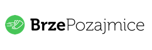 Brzepozajmice